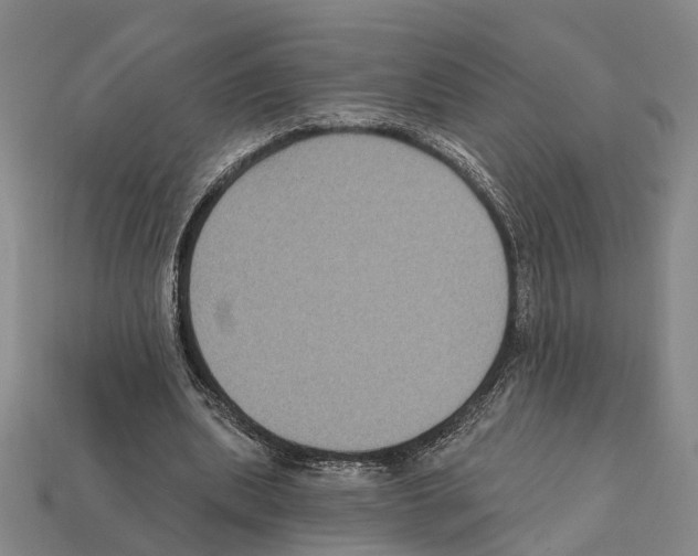 X0000112420439200909251519