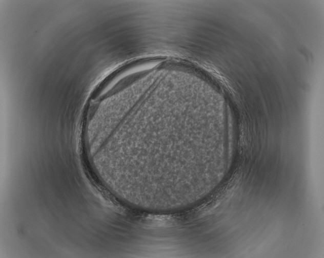 X0000112420440200909251519