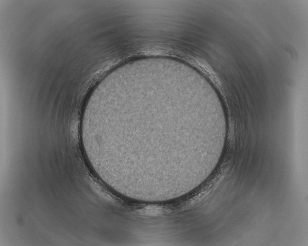 X0000112420441200909251519