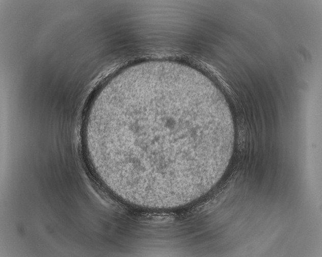 X0000112420443200909251519