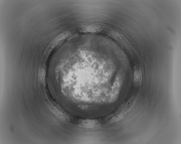 X0000112420444200909251519