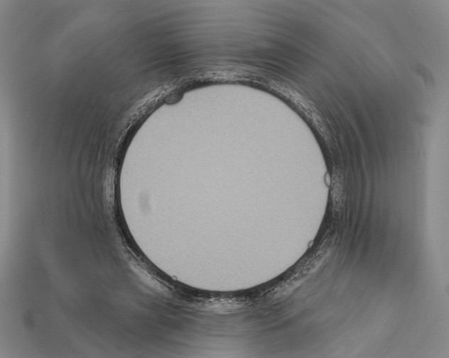 X0000112420445200909251519