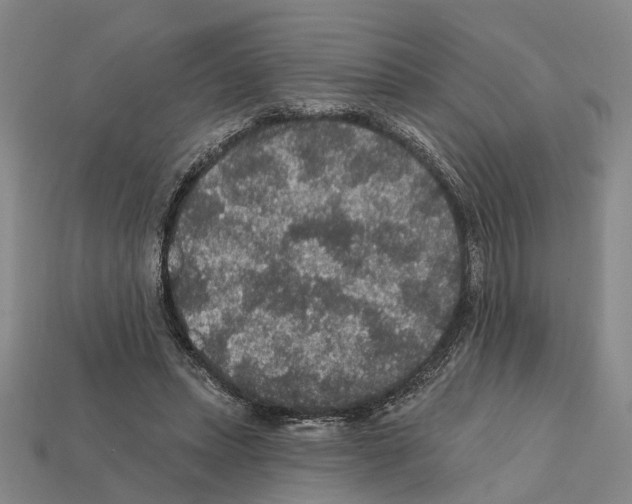 X0000112420447200909251519