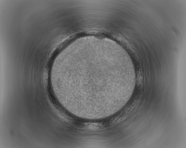 X0000112420448200909251519