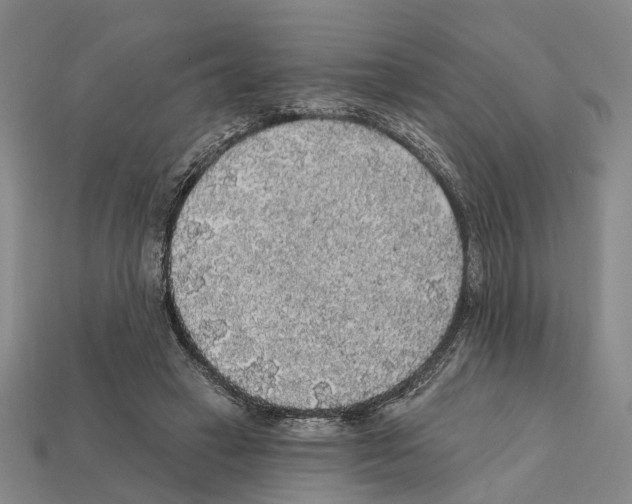 X0000112420449200909251519