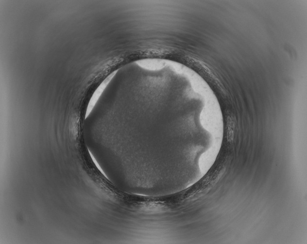 X0000112420451200909251519