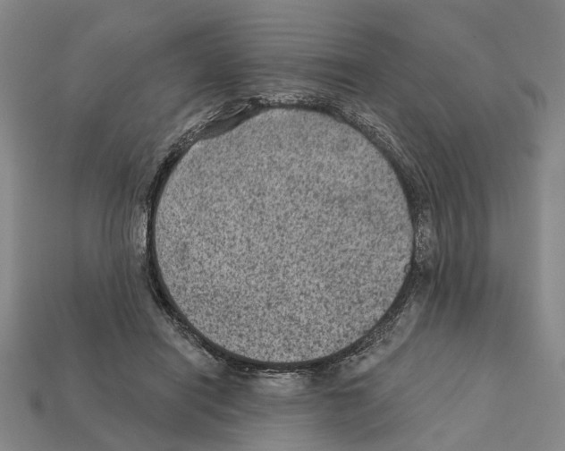 X0000112420454200909251520