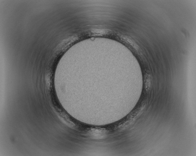 X0000112420455200909251520