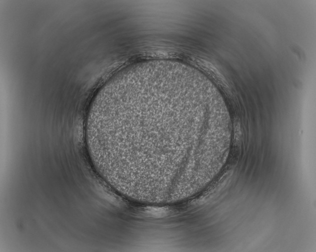 X0000112420457200909251520