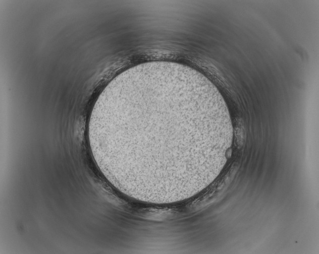 X0000112420458200909251520