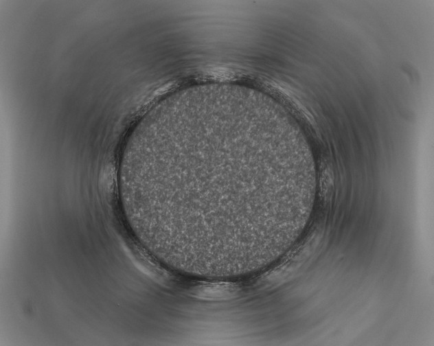 X0000112420459200909251520