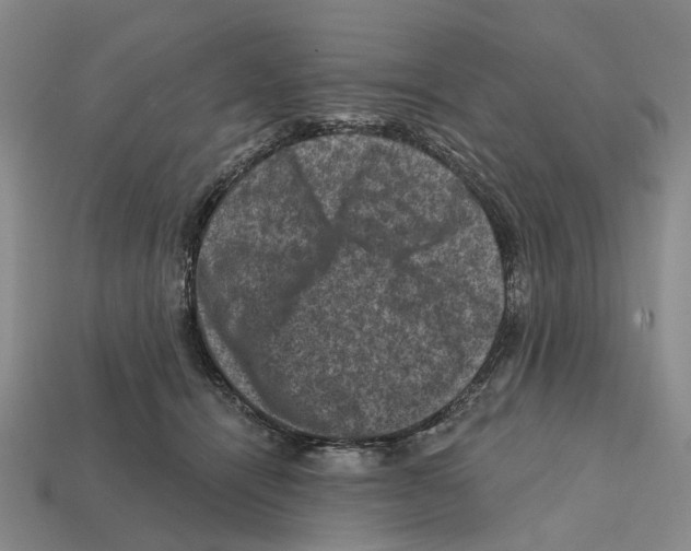 X0000112420464200909251520