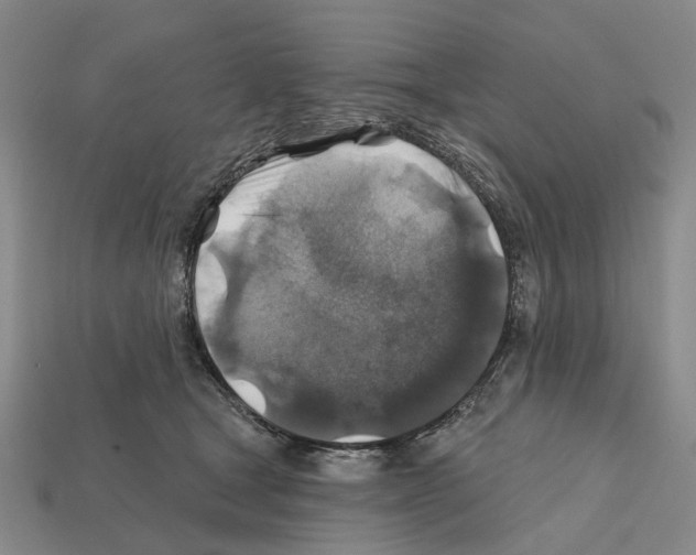 X0000112420465200909251520