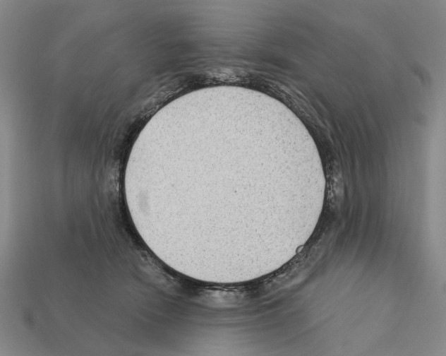 X0000112420466200909251520