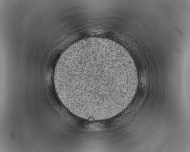 X0000112420468200909251520