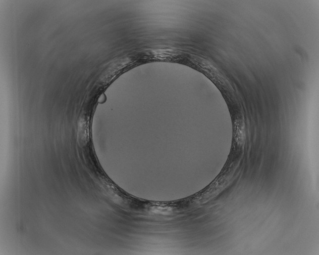 X0000112420471200909251520