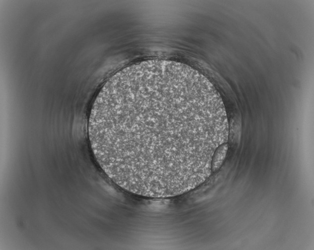 X0000112420474200909251520