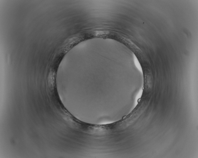 X0000112420475200909251520