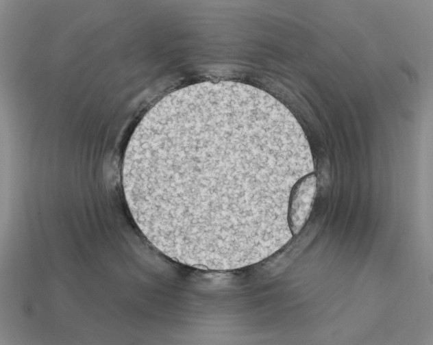 X0000112420478200909251520