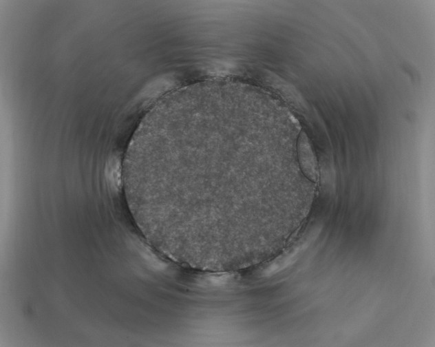 X0000112420479200909251520