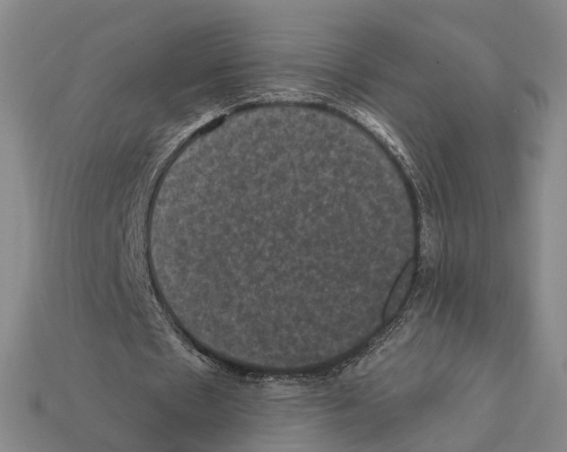 X0000112420481200909251519