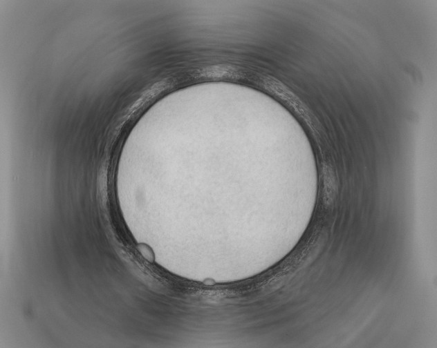 X0000112420482200909251519