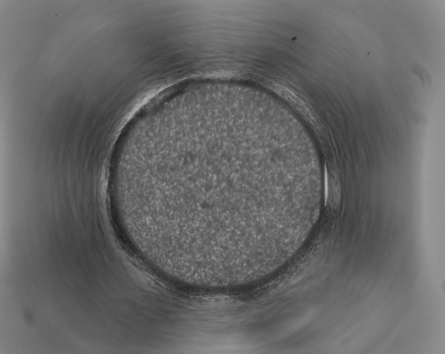 X0000112420483200909251519