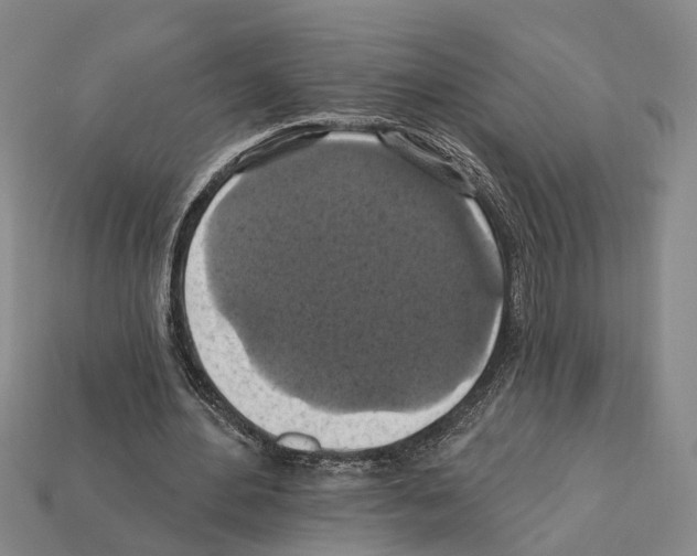 X0000112420484200909251519