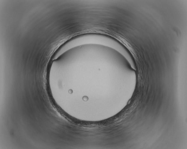 X0000112420485200909251519