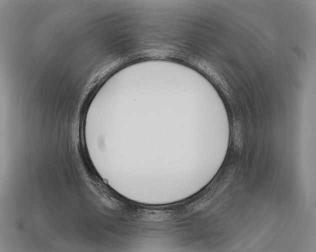 X0000112420486200909251519