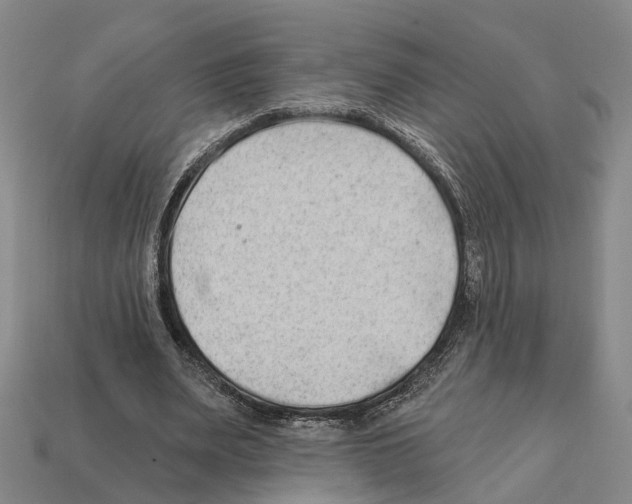 X0000112420487200909251519