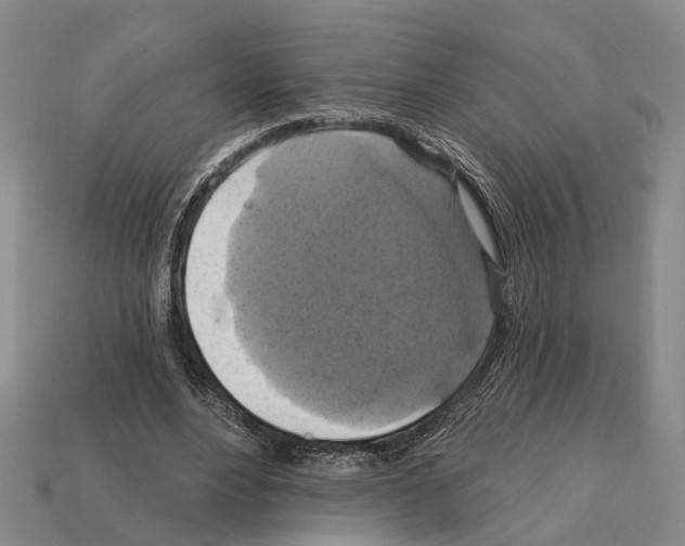 X0000112420488200909251519