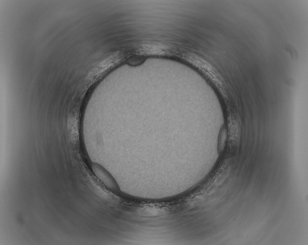 X0000112420489200909251519