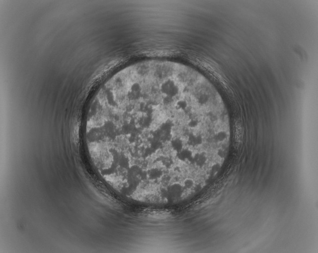 X0000112420491200909251519