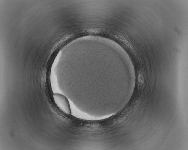 X0000112420492200909251519