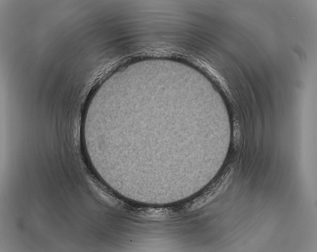 X0000112420493200909251519