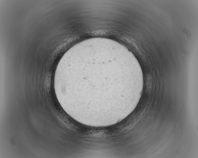 X0000112420495200909251519