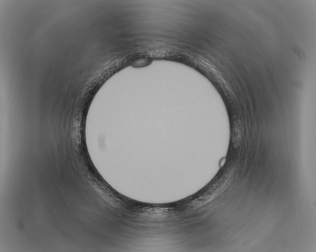 X0000112420497200909251519