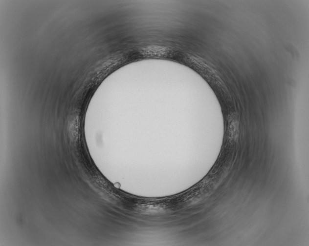 X0000112420498200909251519