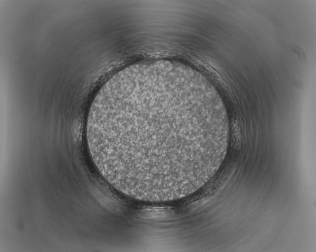 X0000112420499200909251519