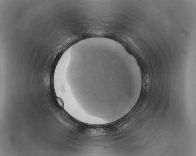 X0000112420500200909251519