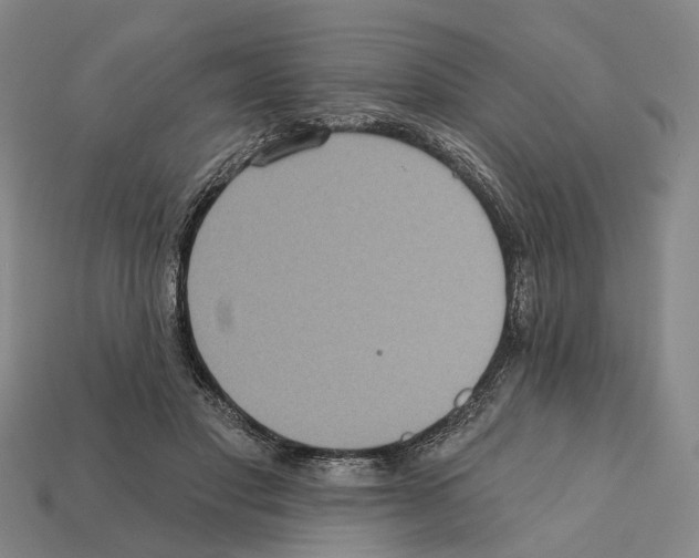 X0000112420501200909251519