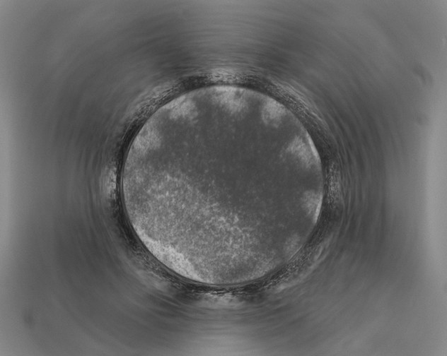 X0000112420502200909251519