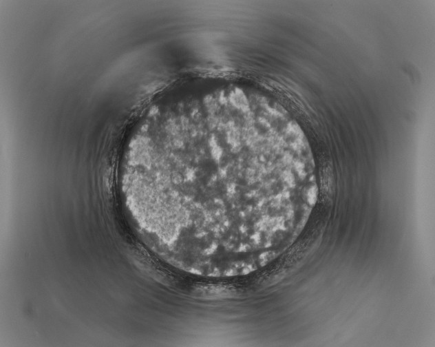 X0000112420503200909251519