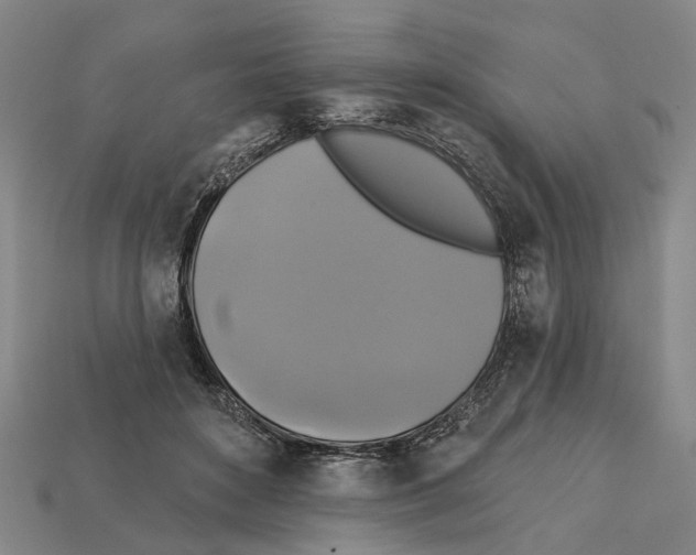 X0000112420504200909251519