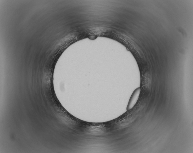 X0000112420505200909251519