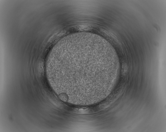 X0000112420506200909251519