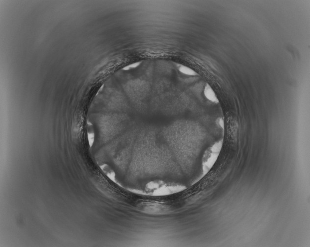 X0000112420507200909251519