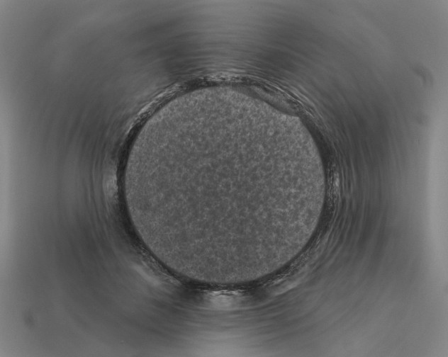 X0000112420508200909251519