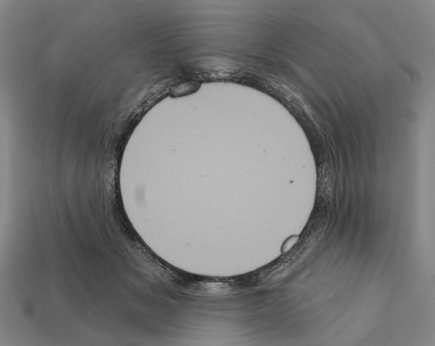 X0000112420509200909251519